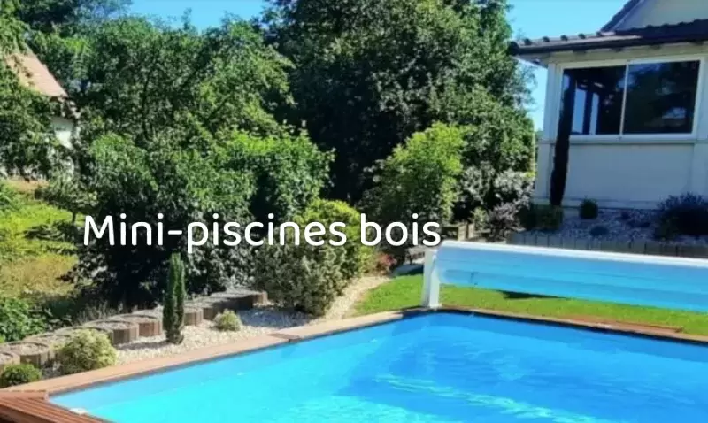 La mini piscine bois