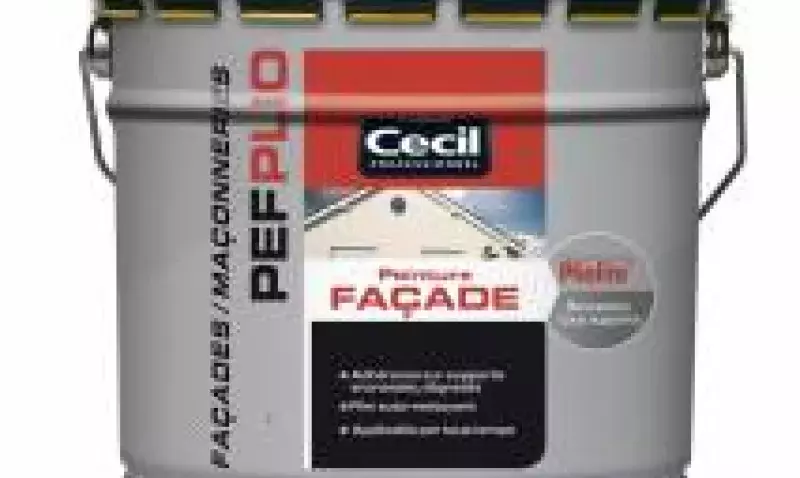 Peintures façades Cecil Pro